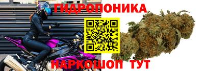 ECSTASY Бугуруслан