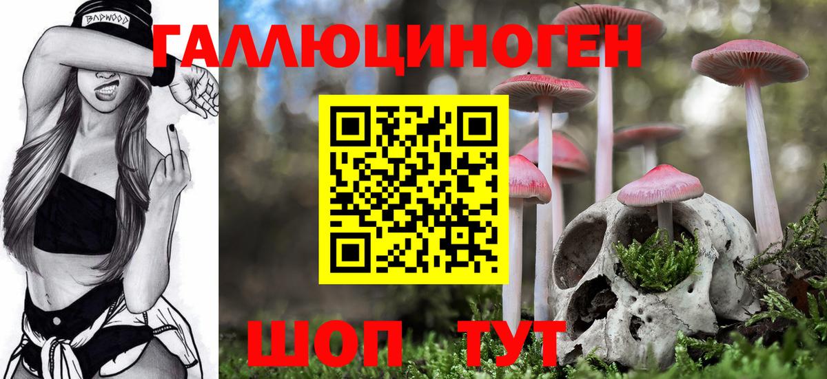магазин  наркотиков  Галлюциногенные грибы GOLDEN TEACHER  Вход с VPN  Волоколамск 